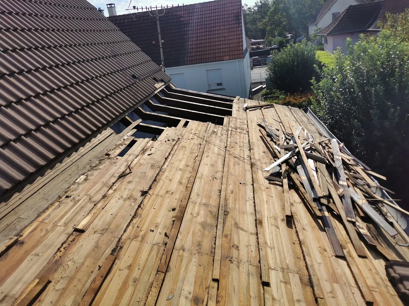 Charpente bois avant traitement — humidité et infestation, Sundgau (68)